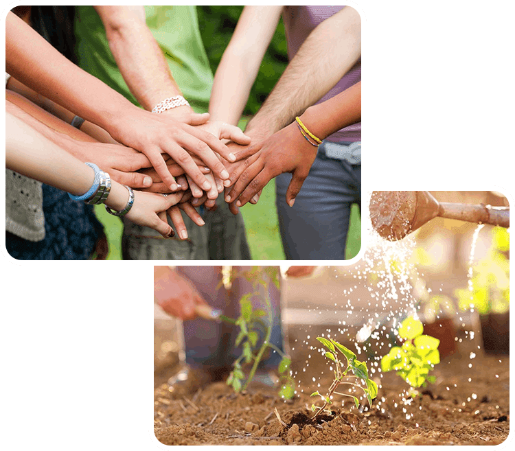 Multilpe Peple Joining Hand and Senior Couple Watering Seedlings in Their Garden