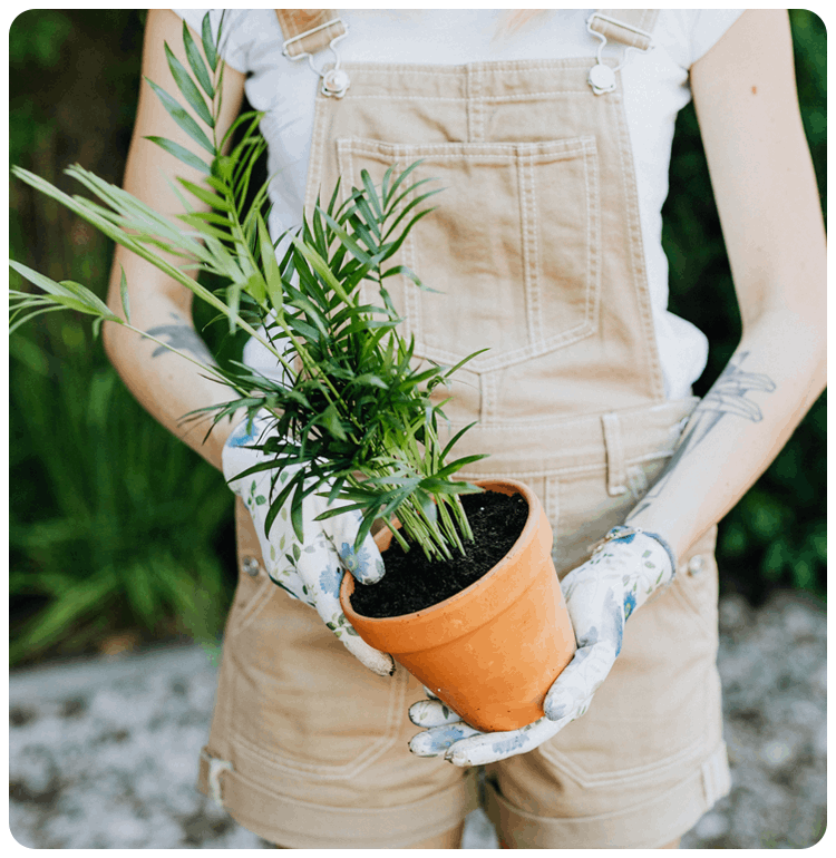 Woman Holding a Potted Plant While Standing in a Greenhouse