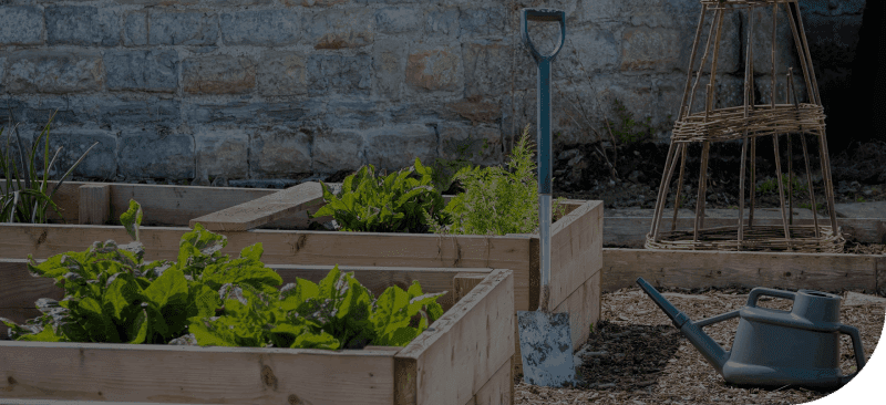 A Rustic Countryside Vegetable Garden With Wooden Raised Beds and Chippings